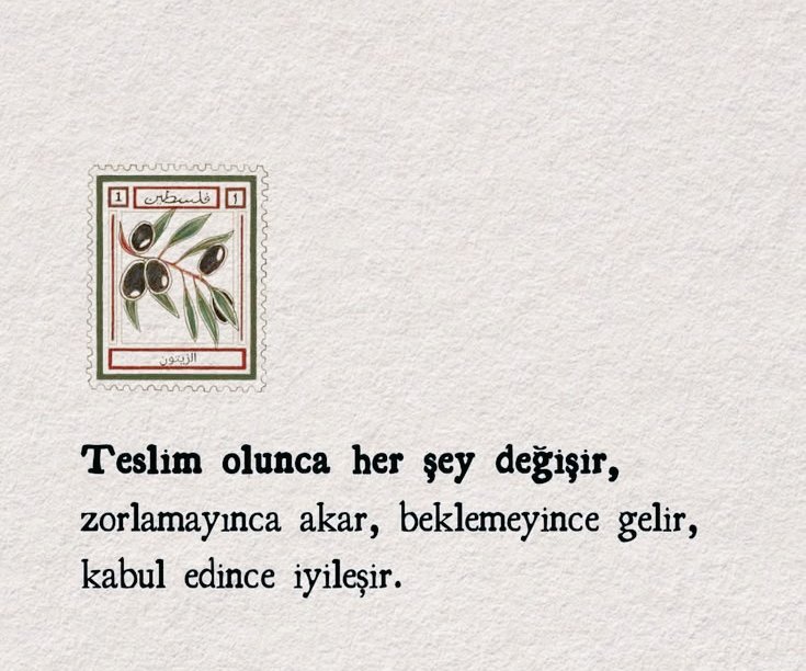 sessiz_gucc's tweet photo. Teslim olunca her şey değişir, https://t.co/TFK3uGV6rq