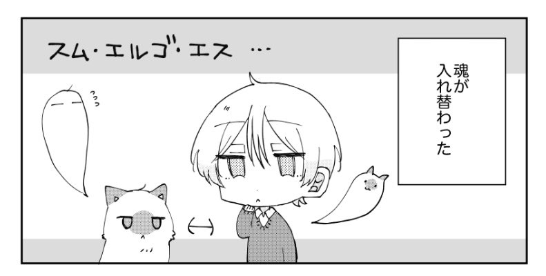 めめちち tweet media