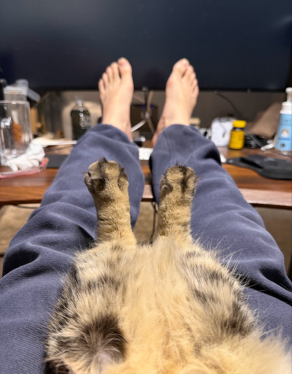すしらーめん《りく》 tweet media