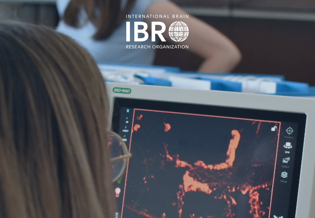 afroscientric's tweet photo. 📢 Apply for the @IBROorg Neuroscience Training Grant!

Receive up to $5,000 for a neuroscience training course starting between 1 July &amp; 31 December 2026, to cover:
-Training course registration fees
-Travel related to the training course
-Local expenses
https://t.co/cGE7GR1WwT https://t.co/mQNLgQVKU1