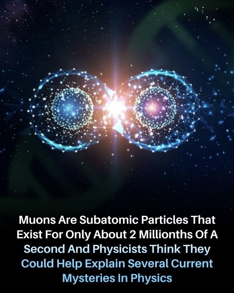 Next Science tweet media