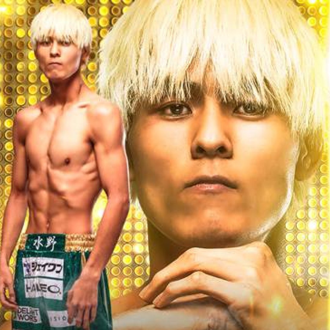 ファイトメモリー | Fight Memory tweet media