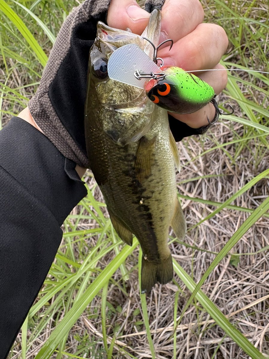 UーSAN🎣デカハネＧＰ２０２６ tweet media