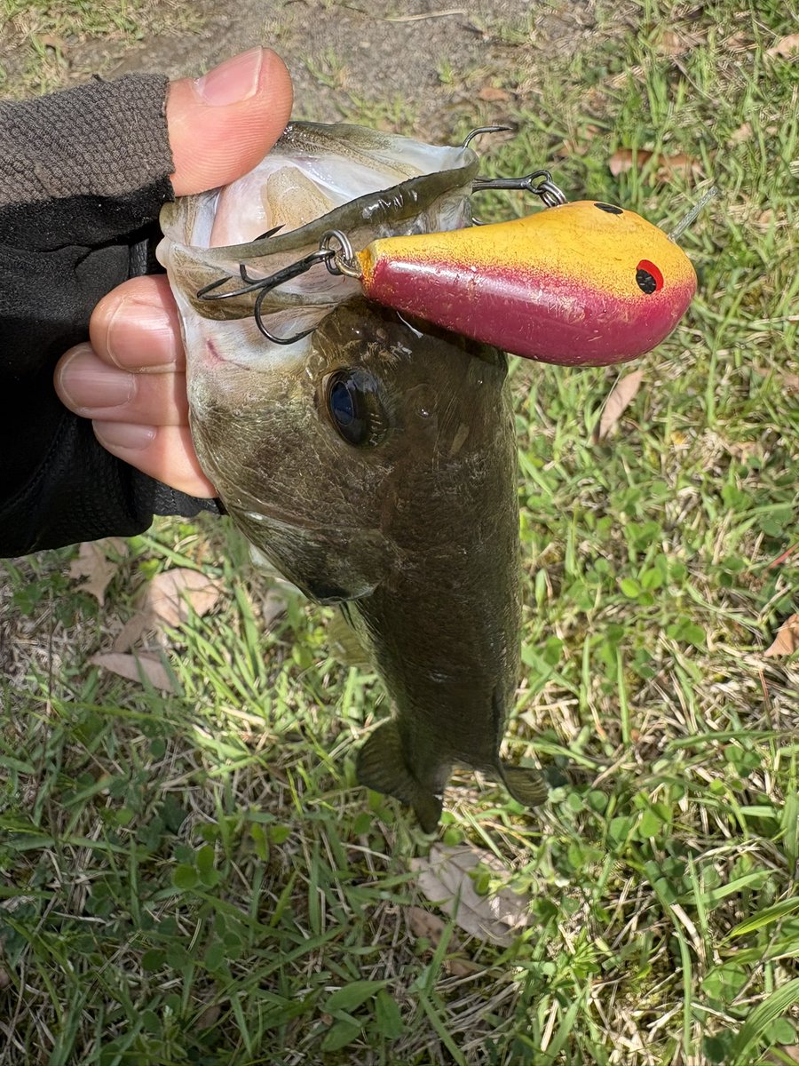 UーSAN🎣デカハネＧＰ２０２６ tweet media