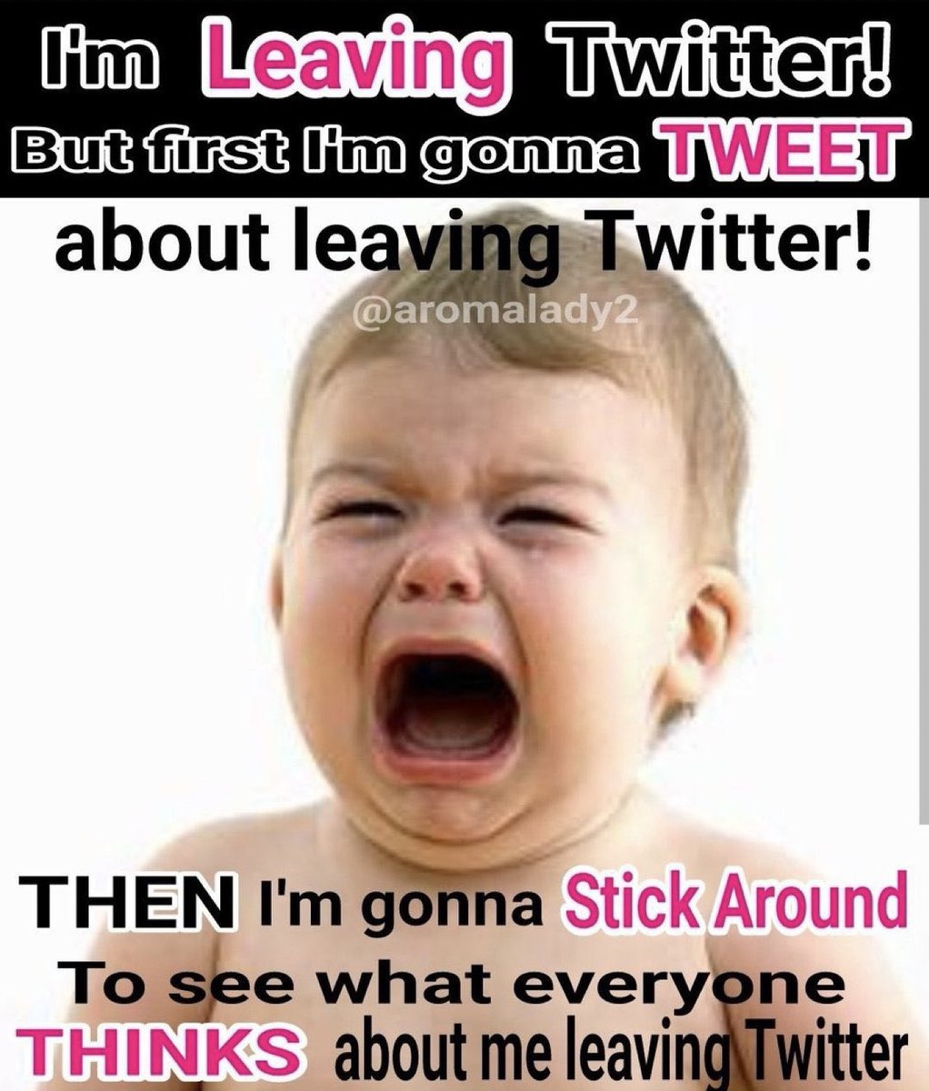 Alexander Iannotta tweet media