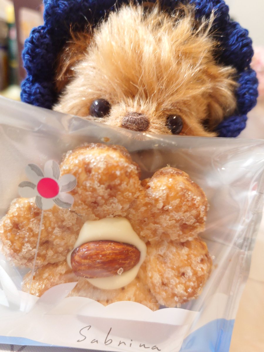 mikadukinn5's tweet photo. 東京駅の素敵なお菓子を
お友達からプレゼント頂きました。
めっっっっちゃ美味しかったよ！
なので🧸ちゃんでCM！

@hotaka_sen 
ありがとう！また絶対遊ぼうね！ https://t.co/mgkZAhzzRp