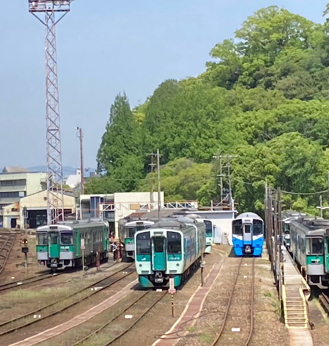 輪駆 tweet media