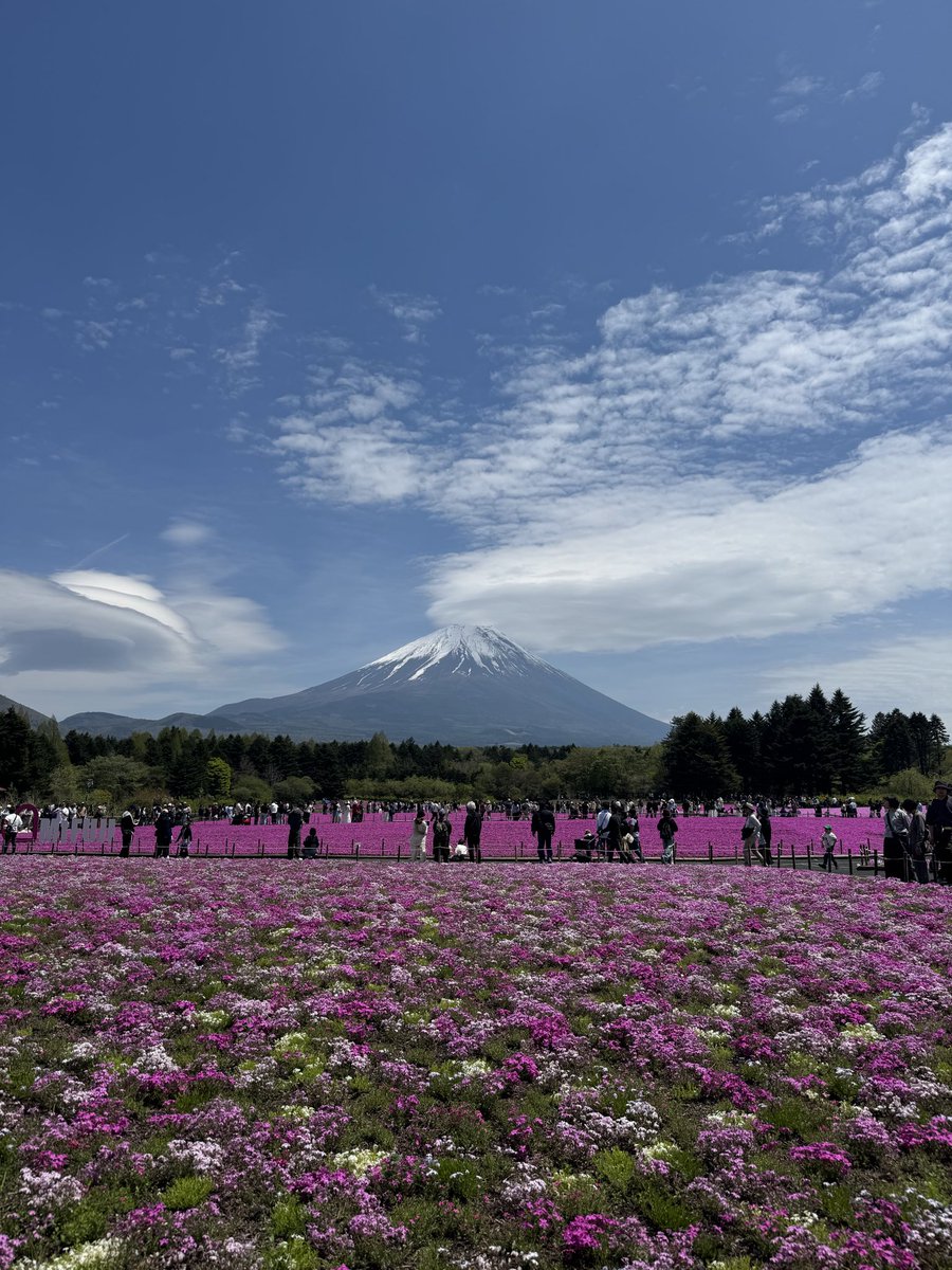 ConiferForests's tweet photo. 彼女と富士山満喫してきた🗻
予報は雨っぽかったけど、当日晴れてよかった☀️
最高のGWになりました https://t.co/BlWEua5lda