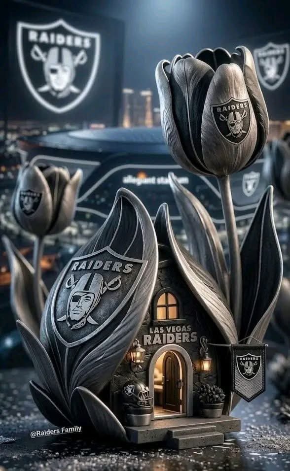 The raider fan podcast tweet media