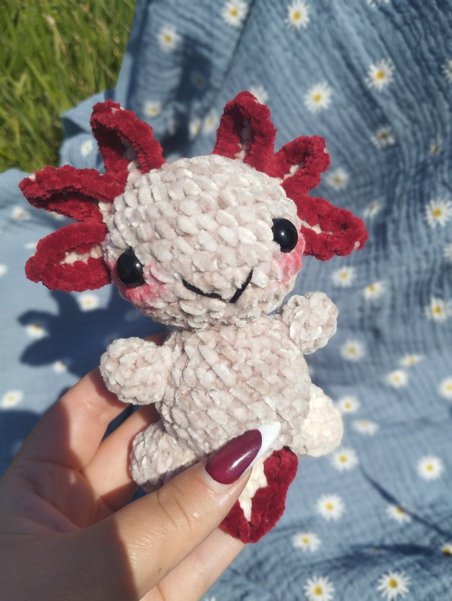 Космічний аксолотлик ☄️
Висота 32 см, ціна 1000 грн

Аксолотлик міні ❤
Висота 15 см, ціна 450 грн