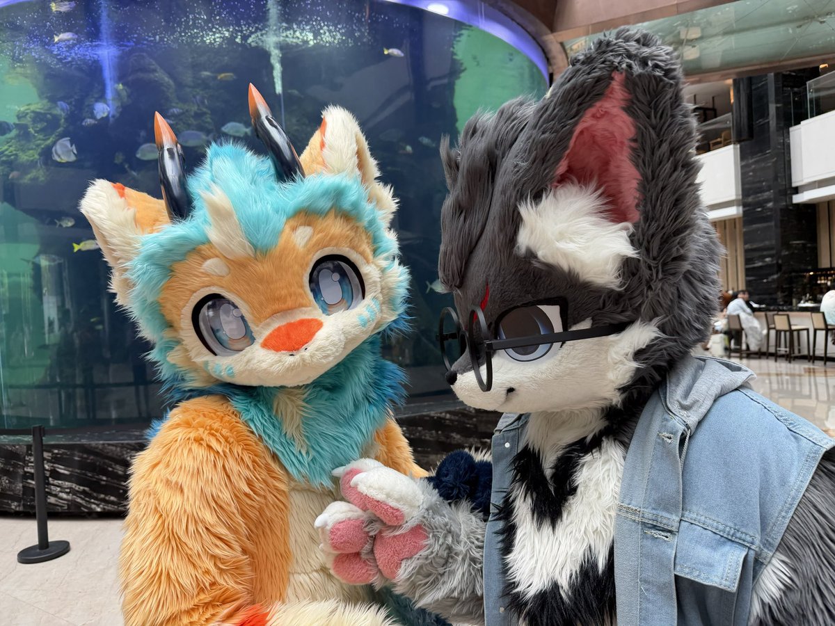 yakumowolf_2112's tweet photo. 谢谢大家在hf的互动和帮助，我们下次见！
#hifurry https://t.co/WJ85sFLxAo
