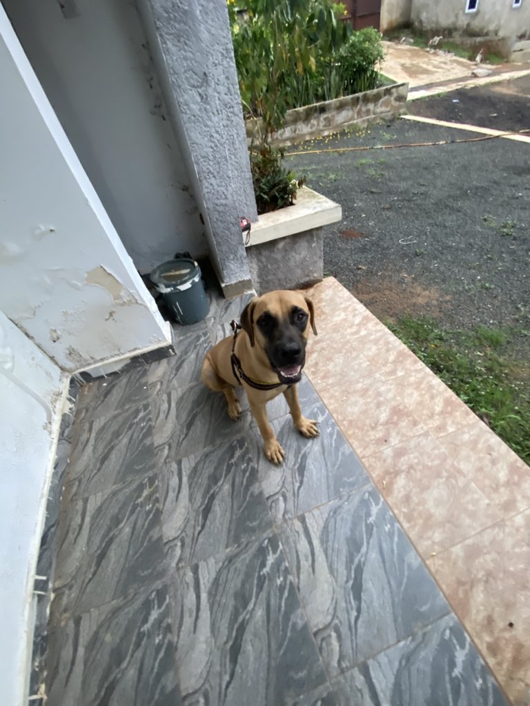 mekus 🦍 tweet media