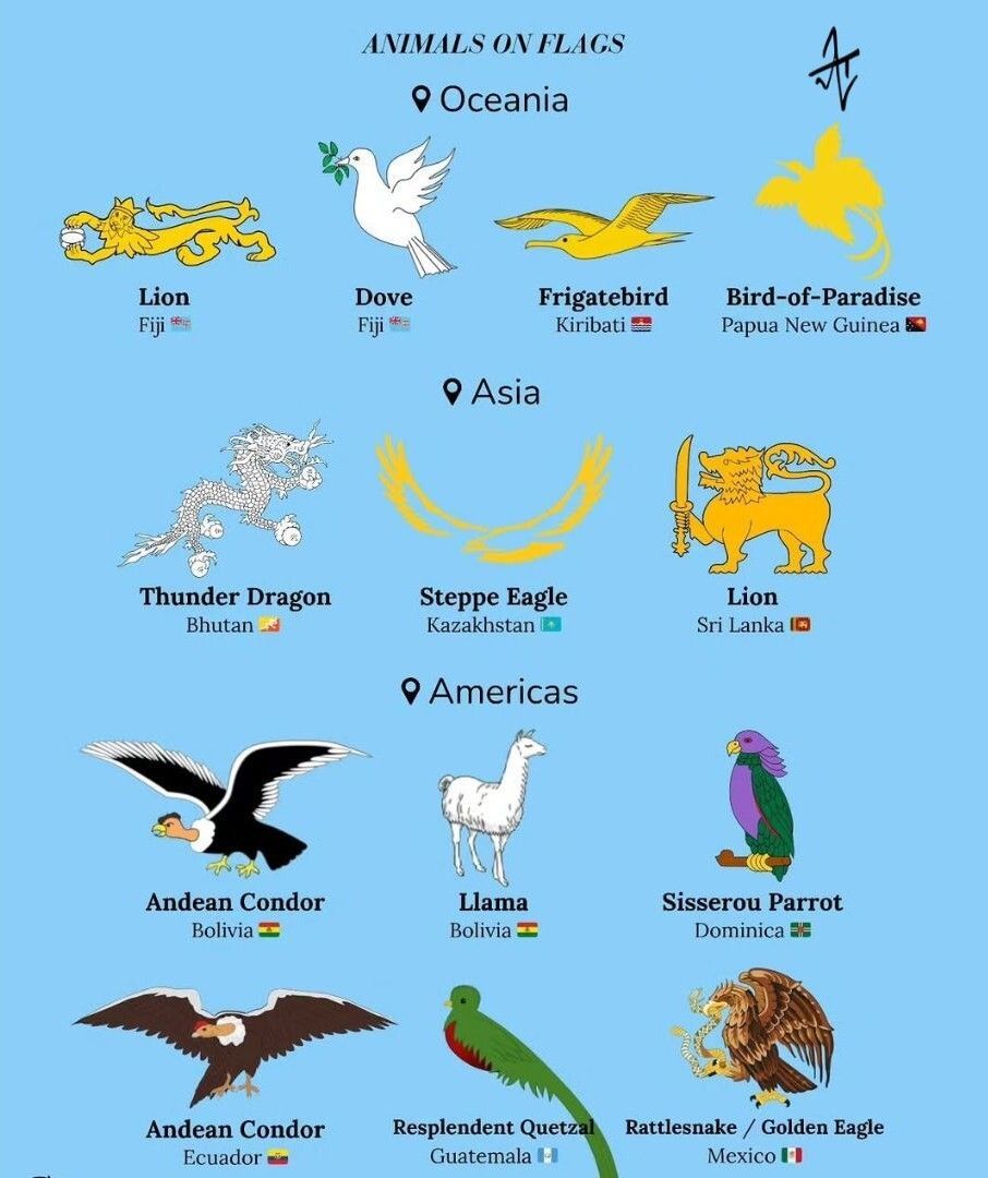 AkkshyeTulsyan's tweet image. Which animal on a flag is your favorite? 🏳️

From Spain’s lion to Mexico’s eagle,
Bhutan’s dragon to Zimbabwe’s ancient bird, flags aren’t just symbols.
They’re stories of power, myth, and identity.

👇 Drop your pick

#Flags #History #Culture #Geography #DidYouKnow