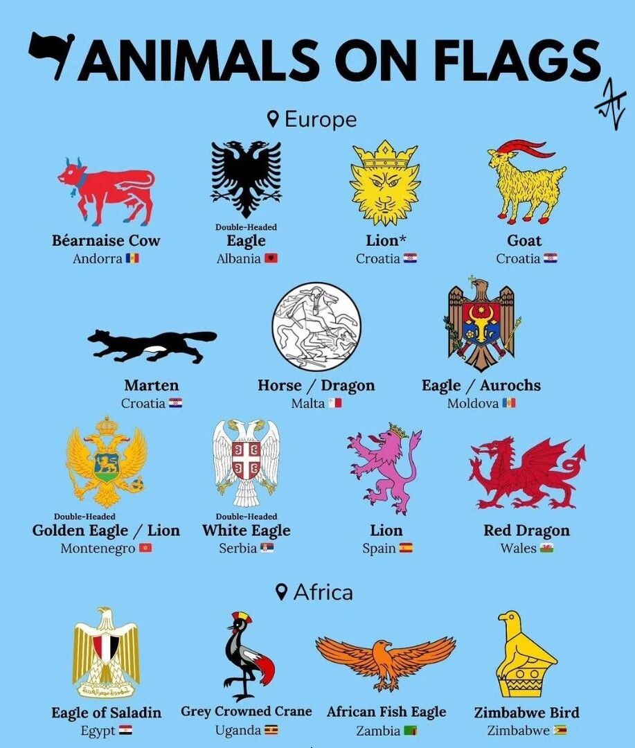 AkkshyeTulsyan's tweet image. Which animal on a flag is your favorite? 🏳️

From Spain’s lion to Mexico’s eagle,
Bhutan’s dragon to Zimbabwe’s ancient bird, flags aren’t just symbols.
They’re stories of power, myth, and identity.

👇 Drop your pick

#Flags #History #Culture #Geography #DidYouKnow