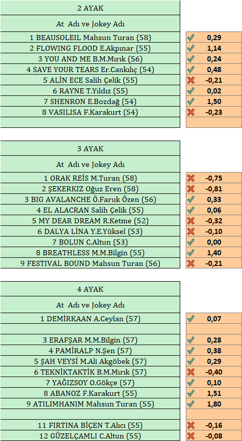 Yarisseverinsesi tweet media