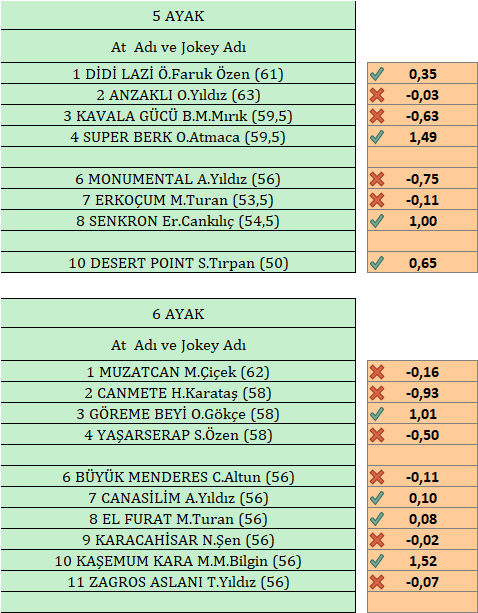 Yarisseverinsesi tweet media