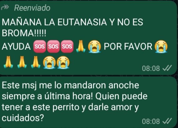 RAQUEL TERESITA MAITA tweet media