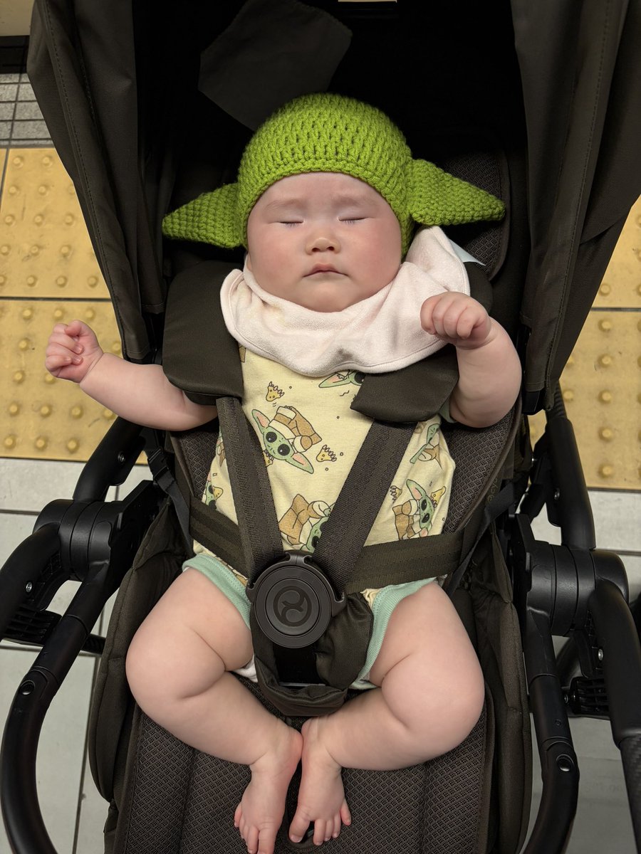HashibiloJapan's tweet photo. 娘をグローグーにする日。
最後はフォースの使い過ぎで眠ってしまいました。
@starwarsjapan 
#sw推し事キャンペーン
#マンドーグローグー https://t.co/7kd2cPkebN