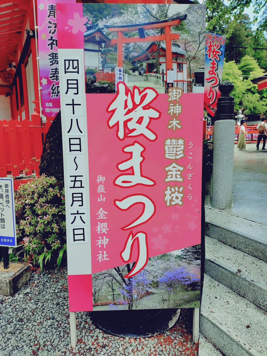 佐倉✿桜〜Botanical*Amulet*Works〜 tweet media