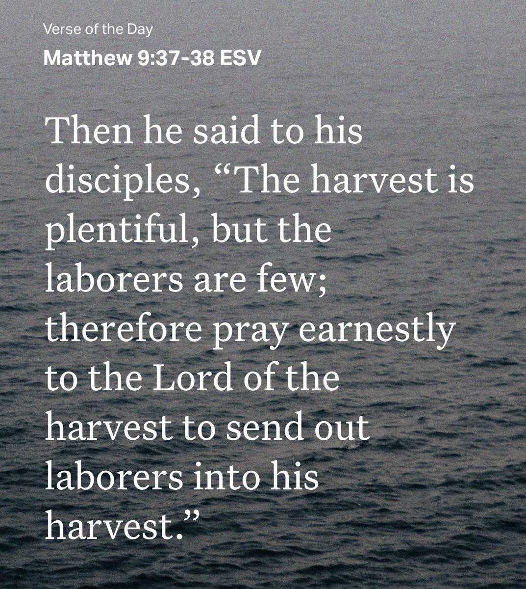 glitterpixie's tweet image. #Harvest