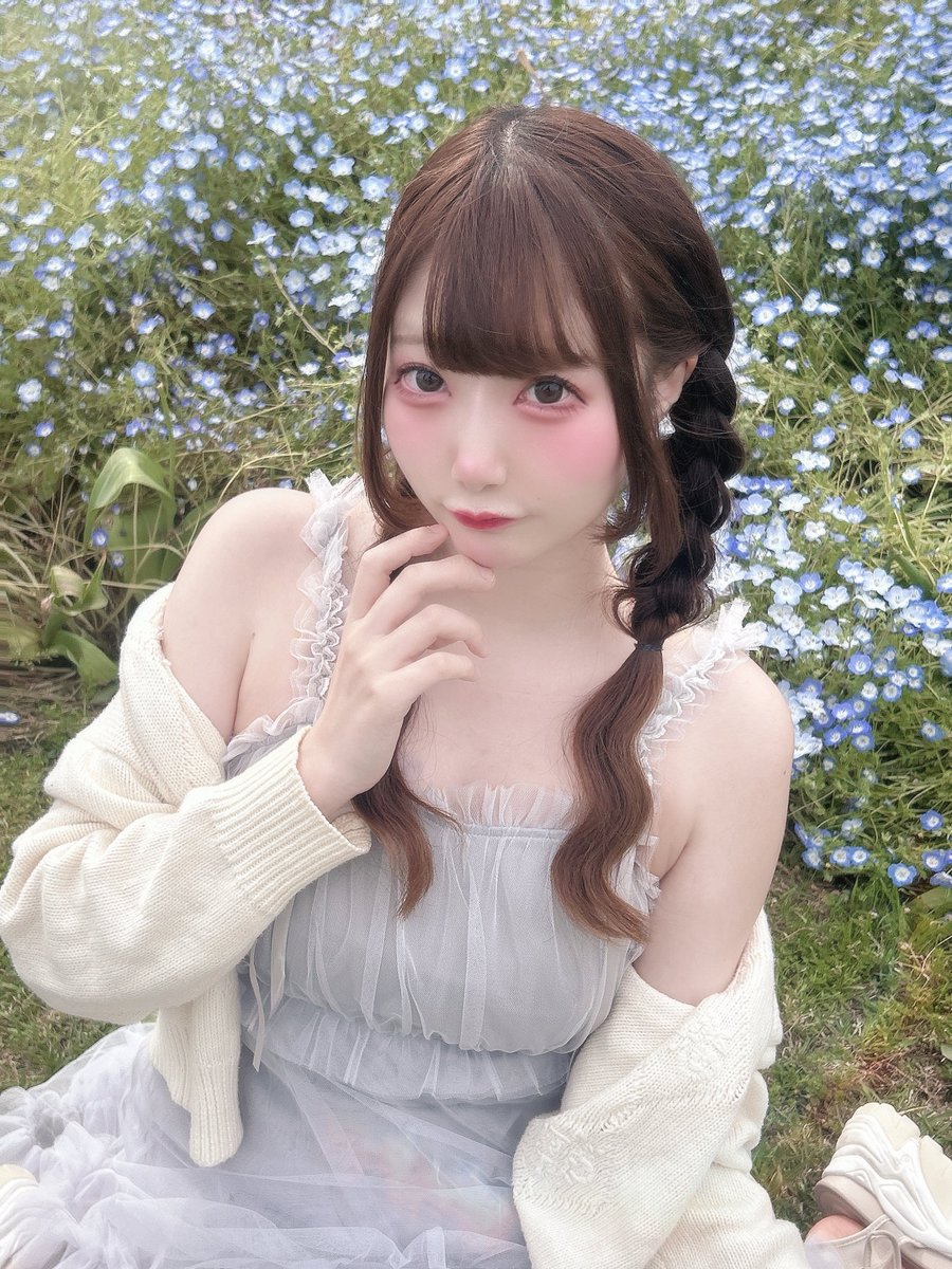 るな🐈‍⬛🌙Ragdoll tweet media