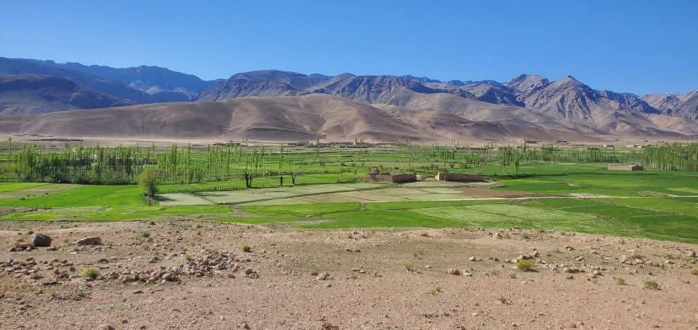قلندر- دای فولاد ( اجرستان )
#اجرستان #هزارستان #ارزگان #غزنی #زابل