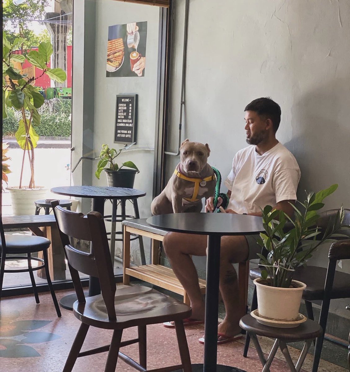 This is him now with his new family. 

He is the big baby of the family. He has 6 beds, air con and he loves ice and fruit to cool down. 

It’s like a different dog (3/4)