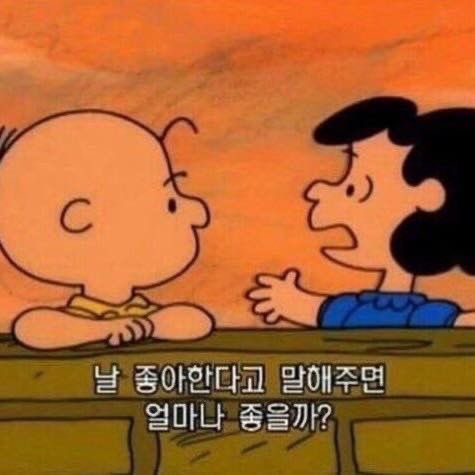 유루아커만 tweet media