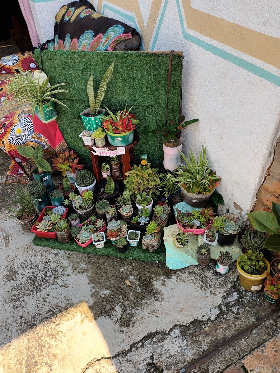 GoodEnergyProd's tweet photo. #GoodEnergyPlants
https://t.co/whNCrkvFVN https://t.co/EnjP7nWsWP
