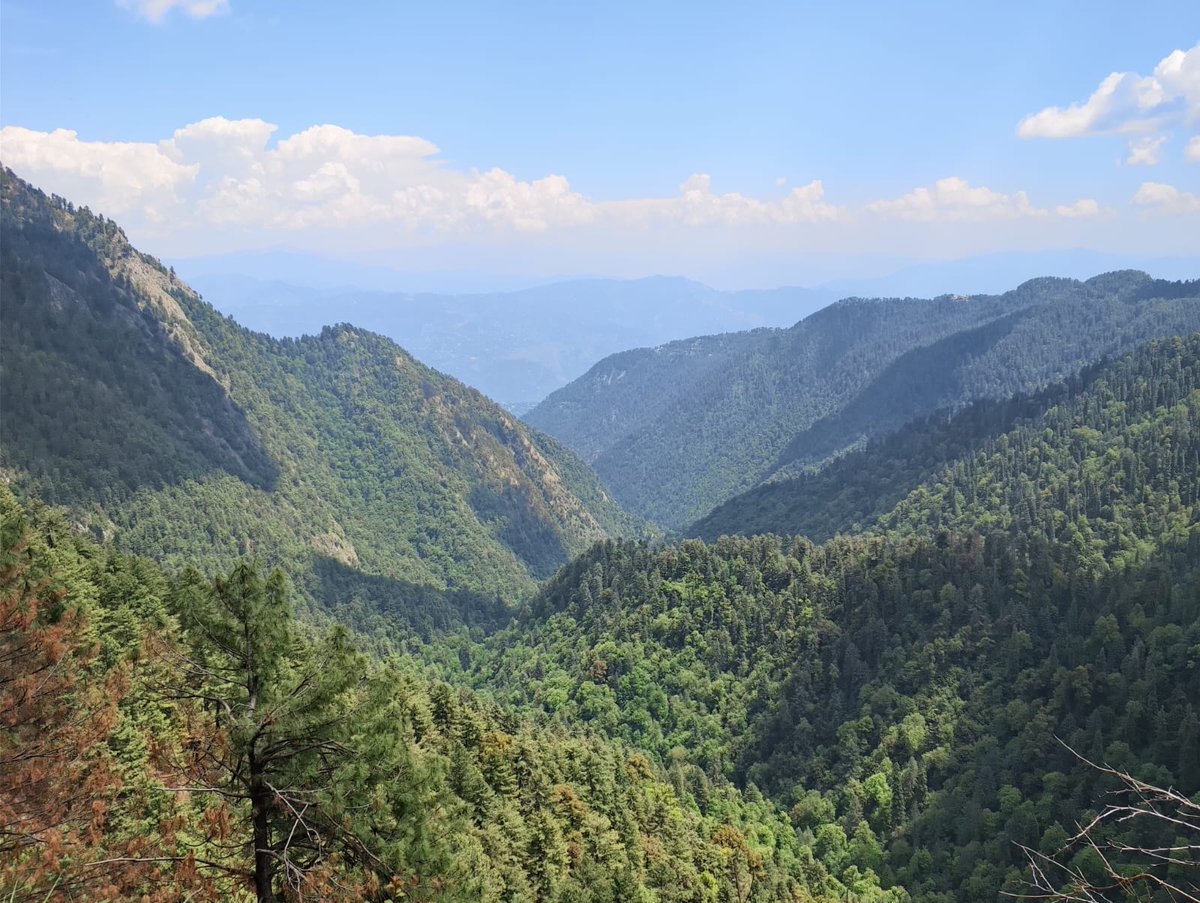 iTechPk's tweet photo. 🏔️🌲 From the scenic Pipeline Track to the thrilling chairlift ride, the iTech Systems team turned every moment into an adventure! Fresh mountain air, stunning views, and endless fun made this trip truly unforgettable. 🚠✨

Work hard, travel far, and make memories together! 💚 https://t.co/sSVPSyutmf