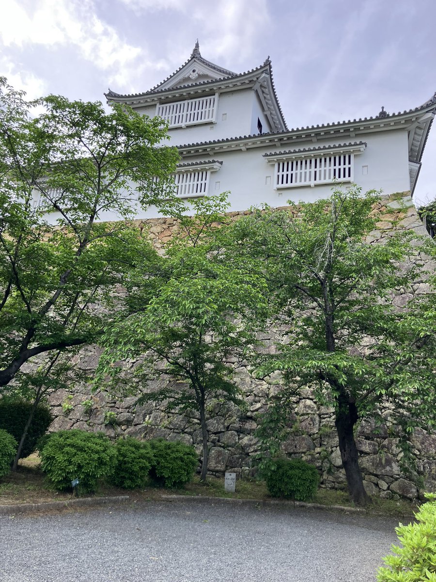 米衛門 tweet media
