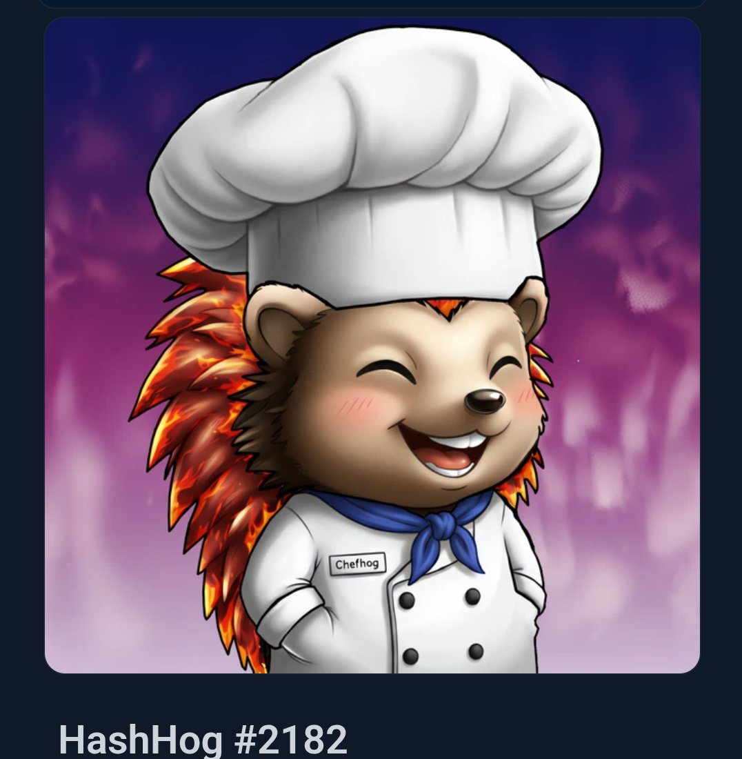 ĦashĦogs tweet media