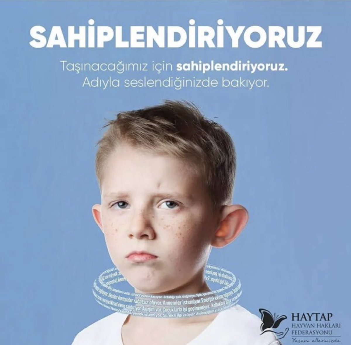 Banu Yüm 🇹🇷 tweet media