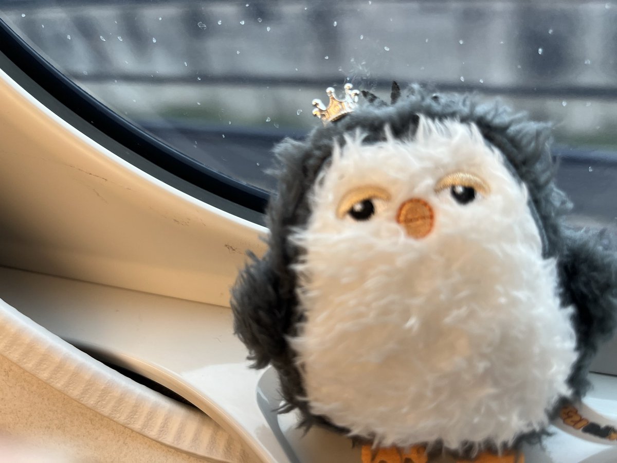 sora_20230311's tweet image. 【名古屋旅行記⑫】
初日のリベンジでつばめパンへ‼︎
テイクアウトでオムレツサンドを注文🍞
その足で念願のきしめんを食べに駆け込み、終了。
たくさん食べて、たくさん遊んで、名古屋を大満喫🔥
EXO &amp;amp;エリのみなさんありがとうございました♡♡

 #EXO #weareone
#EXhOrizon
#EXhOrizon_in_JAPAN
