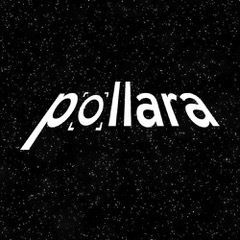 Pollara Strategic Insights tweet media