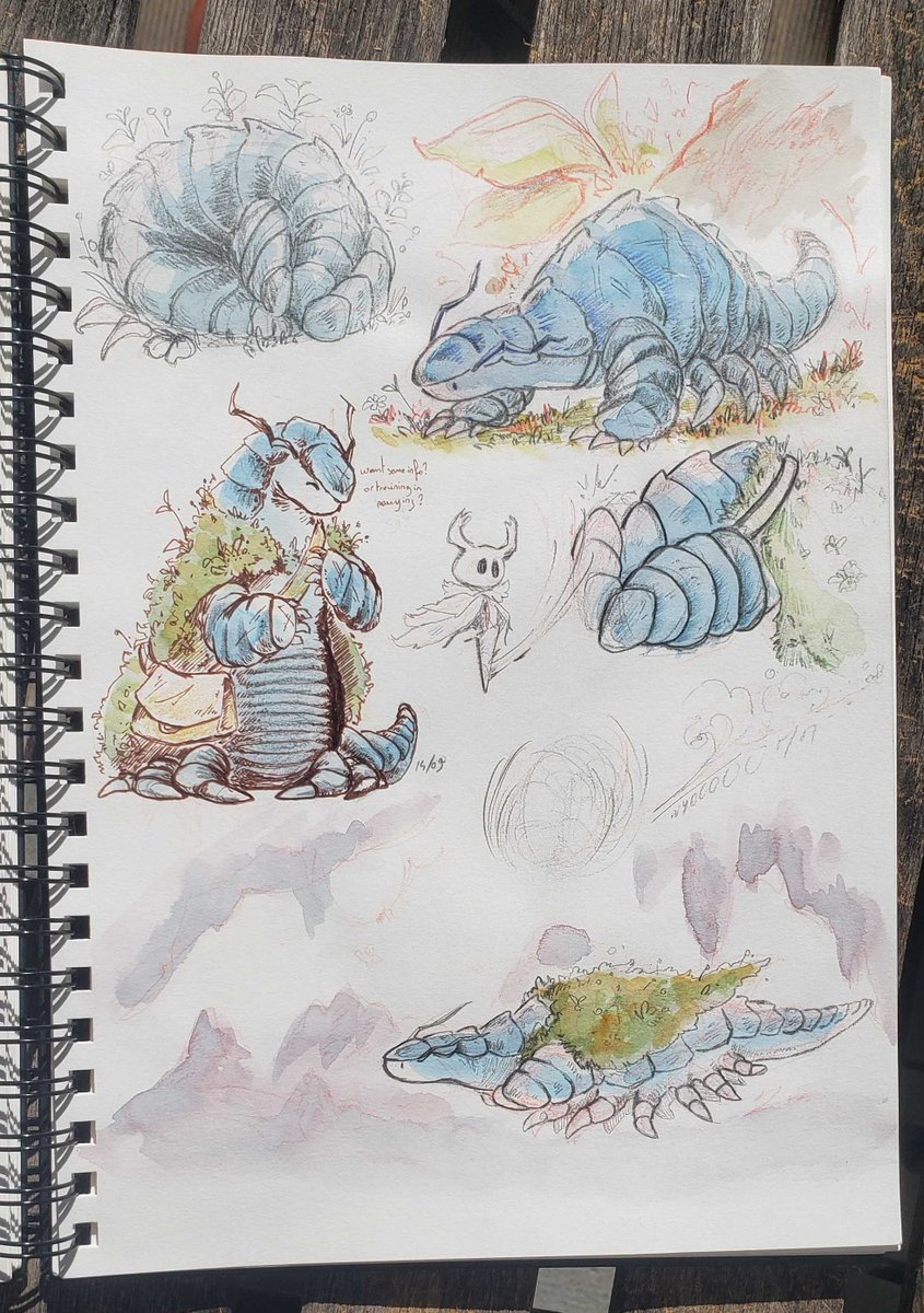 Fernast🦋 🍉 Expedition mood {Comms open}/Vgen tweet media