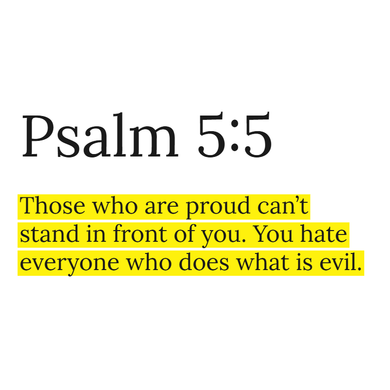Holy Bible tweet media