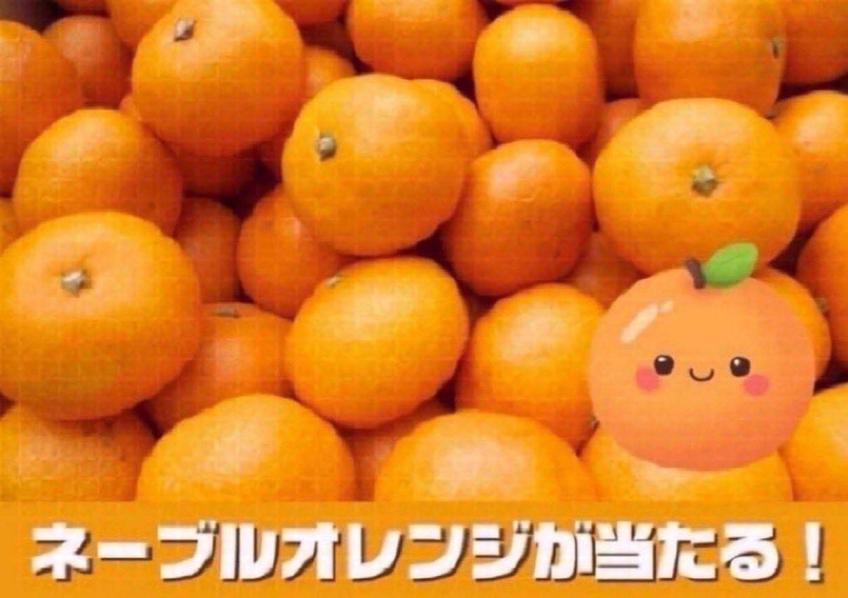 こだわり王国 公式 tweet media