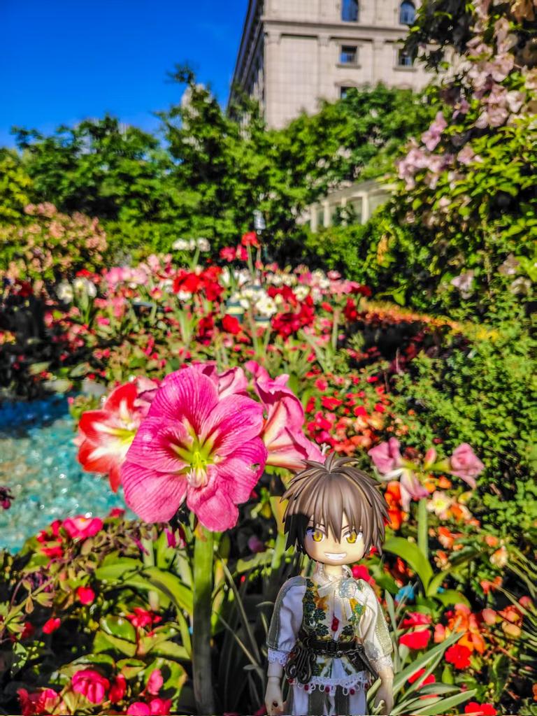 flower exhibition🌸🌺🌼🏵️🌻🌹🌷💐