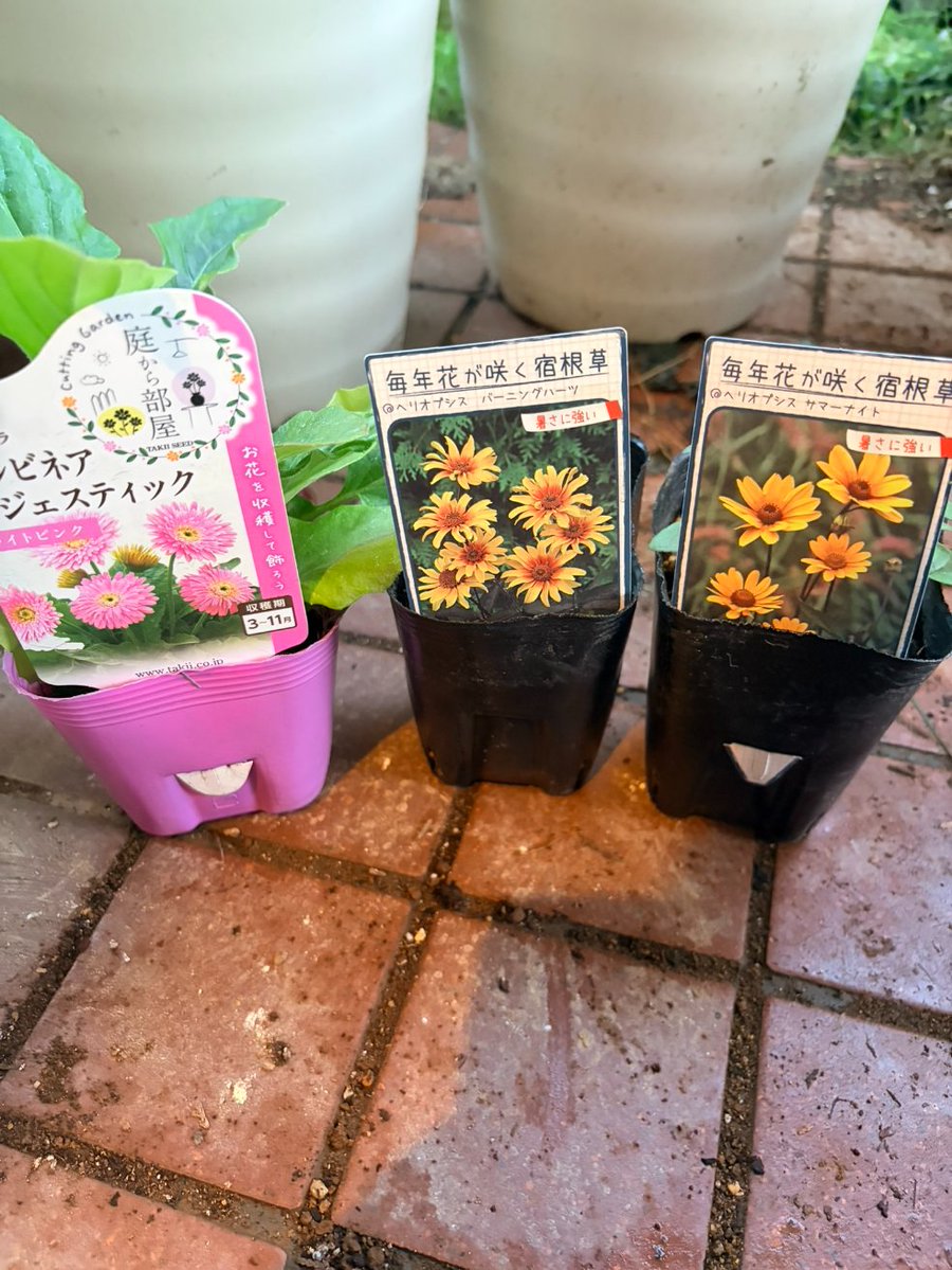 まさ tweet media