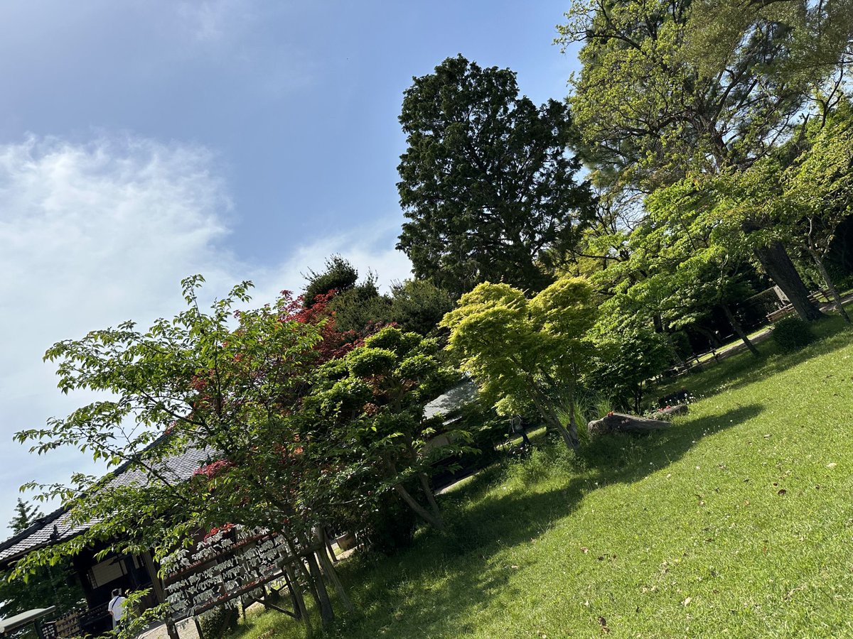 あらんあすた🍨🥔☕️ｱｽﾀﾗﾋﾞｽﾀ tweet media