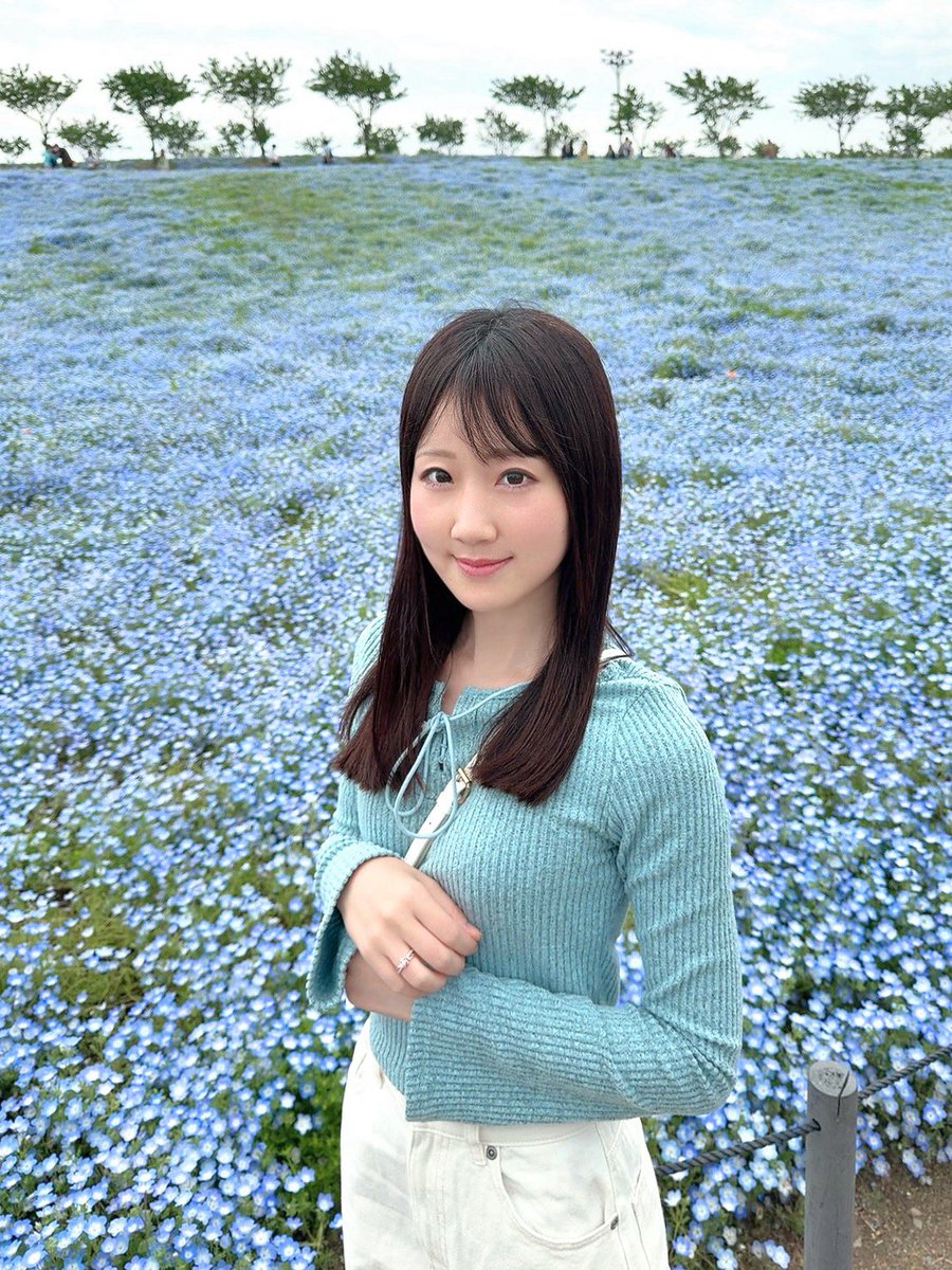 kanako_fjsk's tweet image. まいしまシーサイドパークのネモフィラ祭り行ってきたよ〜
ネモフィラ毎年見に行くくらい大好き！
ネモにゃんも見つけた
#まいしまシーサイドパーク #ネモフィラ #いいね返し