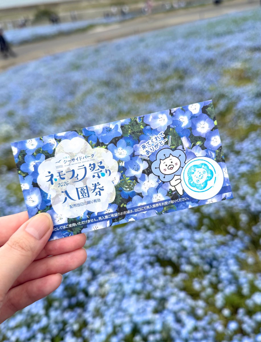 kanako_fjsk's tweet image. まいしまシーサイドパークのネモフィラ祭り行ってきたよ〜
ネモフィラ毎年見に行くくらい大好き！
ネモにゃんも見つけた
#まいしまシーサイドパーク #ネモフィラ #いいね返し