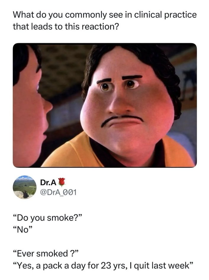 Men's Humor tweet media