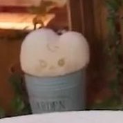mr.kimrbj 🐈 𓈒 tweet media