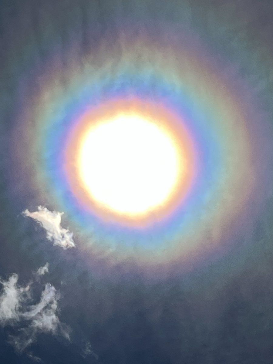 grandy77358522's tweet photo. 玄関開けたら
まっしろさん====✈︎
今日の太陽☀️すごいカラフル🌈 https://t.co/xM0TiFoP18