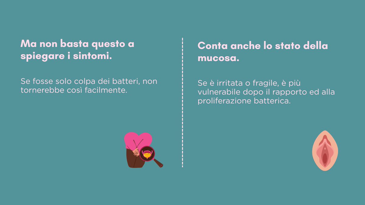 CistiteInfoAPS's tweet photo. Quando si parla di cistite dopo i rapporti si pensa subito ai batteri.
Ma non è sempre così semplice.

#dolorecronico #cistitepostcoitale #pavimentopelvico #curenaturali #salutefemminile https://t.co/REe8Y2xf66
