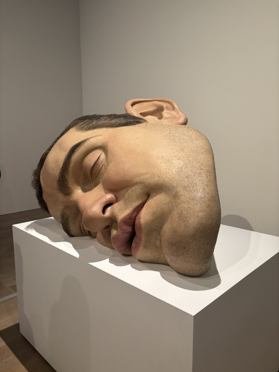 pool_of_synapse's tweet photo. ロン・ミュエク展 https://t.co/2HLTNrXJKx