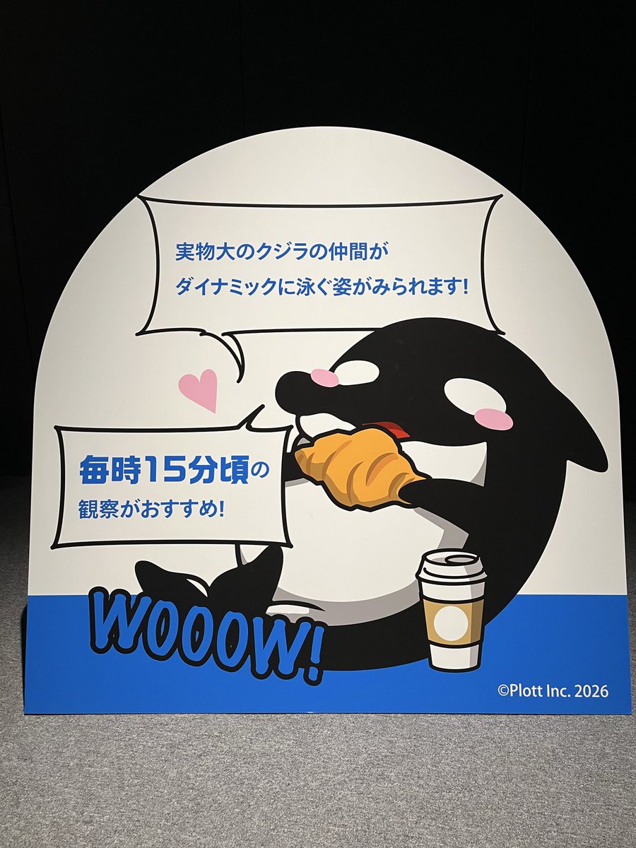 flower_shine129's tweet photo. オシャレな水族館とは聞いていましたが、あんな素敵な展示と思ってなくて…コラボ終わってもまた行きたいし、お友達が北海道旅行に来てくれたら連れて行きたいスポットになりました。中のカフェも美味しかったよー！ https://t.co/8IksAVDeNA