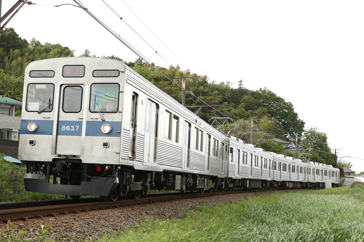 GoodSnow01's tweet photo. 東急8500系8637F 4両 こどもの国線 臨時列車 (長津田↔こどもの国)を仕留めたり!
8606Fに次いで8637Fもクッソ相性が悪くて10両時代は数えるくらいしか逢えなかったという思い出があるので今日はこれでもか!ってくらい撮ったなり
#東急8500系 #東急電鉄 #こどもの国線 #8637F https://t.co/4d4Y67o3dM